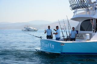 MOST Bodrum