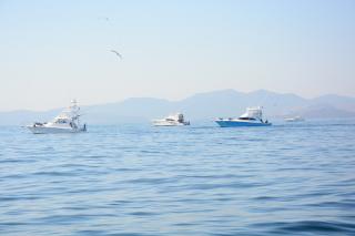 MOST Bodrum