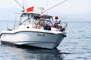 MOST Bodrum