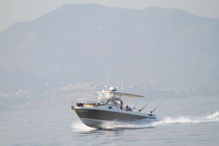 MOST Bodrum