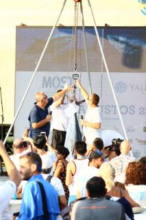 MOST Bodrum