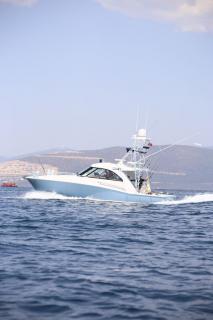 MOST Bodrum