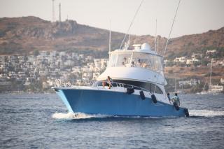 MOST Bodrum