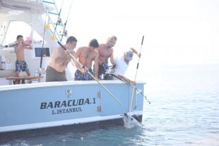 MOST Bodrum