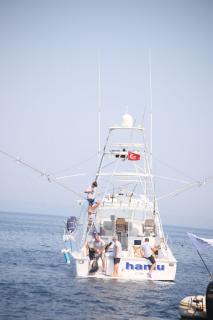 MOST Bodrum