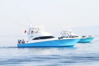 MOST Bodrum